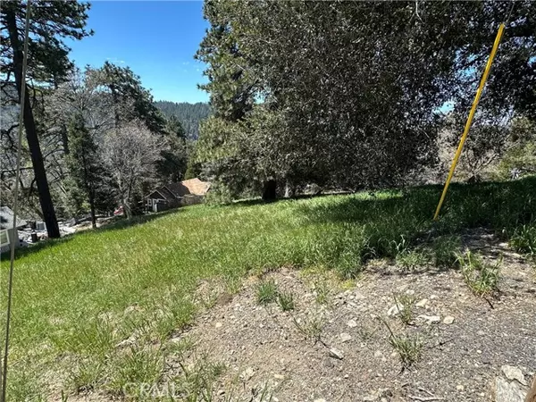 Cedarpines Park, CA 92322,0 Elliot Road