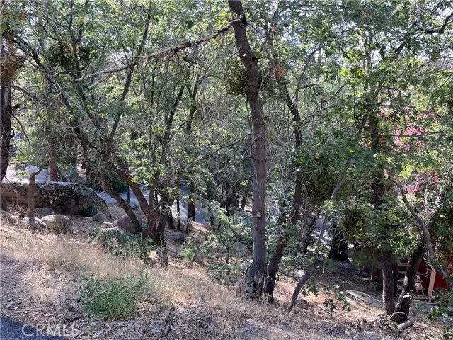 24 Lot 24 Conway Drive, Los Angeles, CA 92382