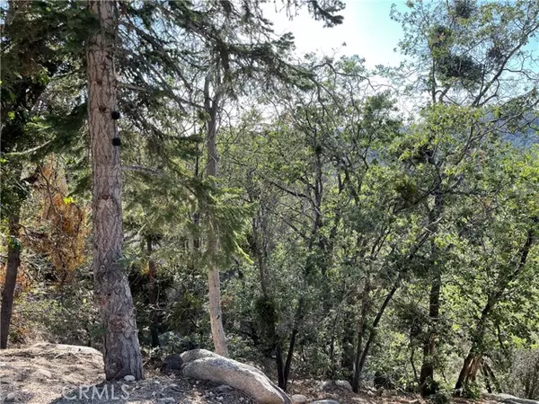 23 Lot 23 Music Camp Road, Los Angeles, CA 92382