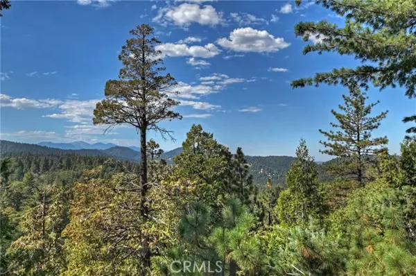 Crestline, CA 92325,23796 Crest Forest Drive