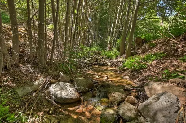 29649 Hook Creek Road, Cedar Glen, CA 92321