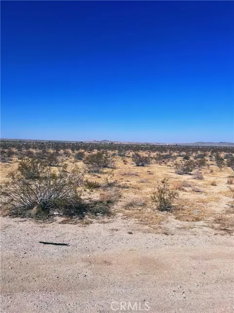 Joshua Tree, CA 92252,29 Palms Highway