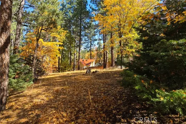 Big Bear Lake, CA 92315,0 Ford Ln