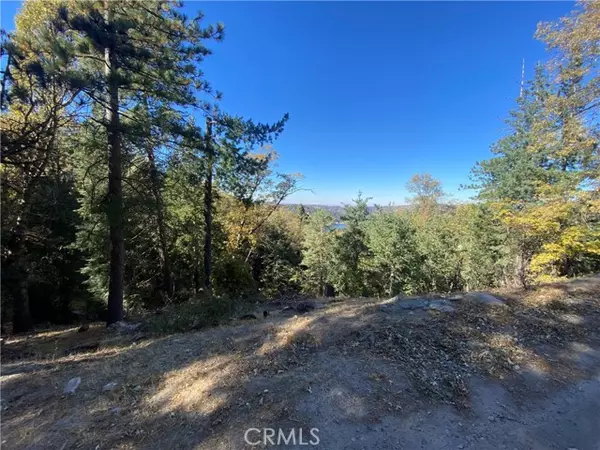 Crestline, CA 92325,24989 Highland Drive