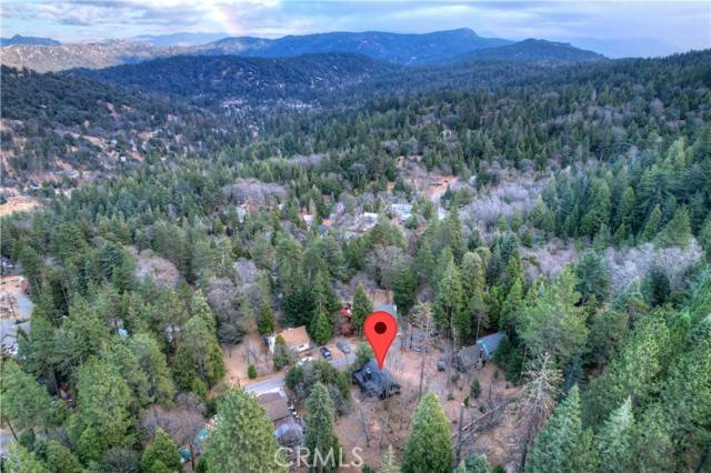 Cedarpines Park, CA 92322,466 Willow Witch Road