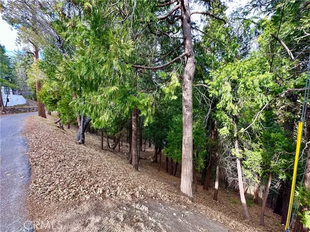 Lake Arrowhead, CA 92352,291 Hillside Road
