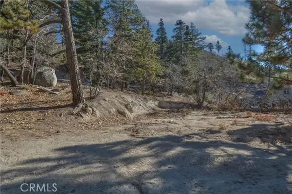 Running Springs, CA 92382,0 Cobblestone Lane