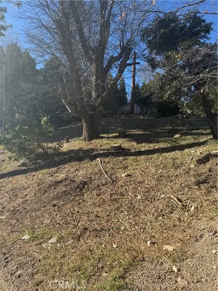 26600 Highway 18, Rimforest, CA 92378