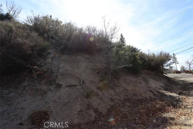Cedar Glen, CA 92321,721 Acacia Road