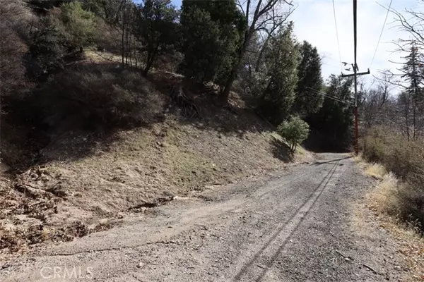 Cedar Glen, CA 92321,717 Acacia Road