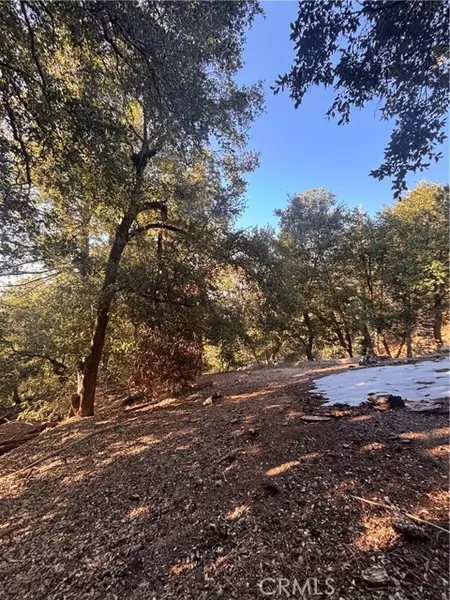 0 North Rd, Twin Peaks, CA 92391