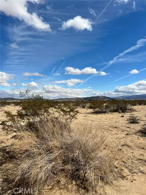 Joshua Tree, CA 92252,0 Delaware Avenue