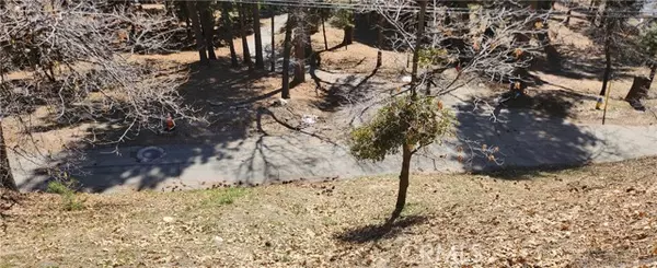 Running Springs, CA 92382,0 Preston Drive