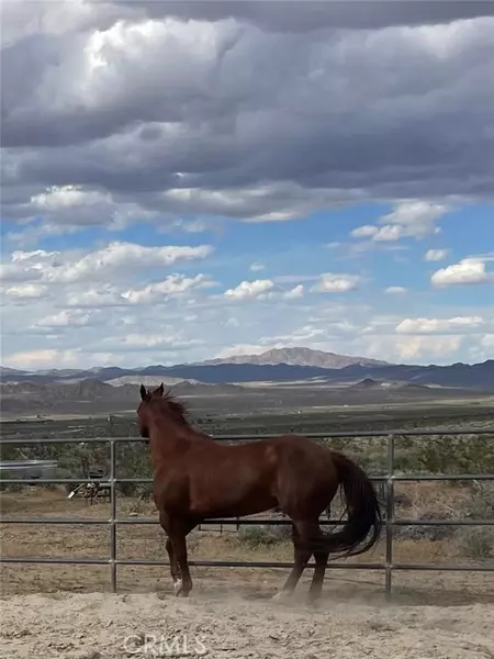7077 Camp Rock Road, Lucerne Valley, CA 92356