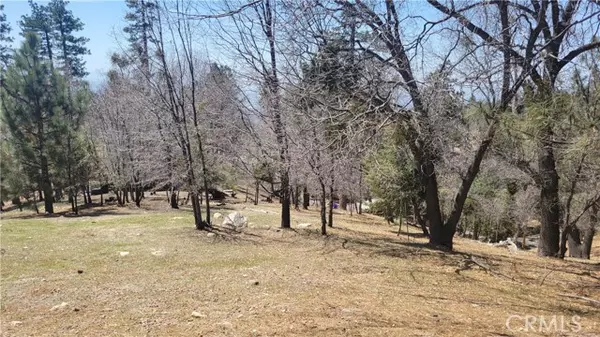 Running Springs, CA 92382,0 Winding Way