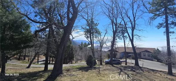Running Springs, CA 92382,42 Park Drive