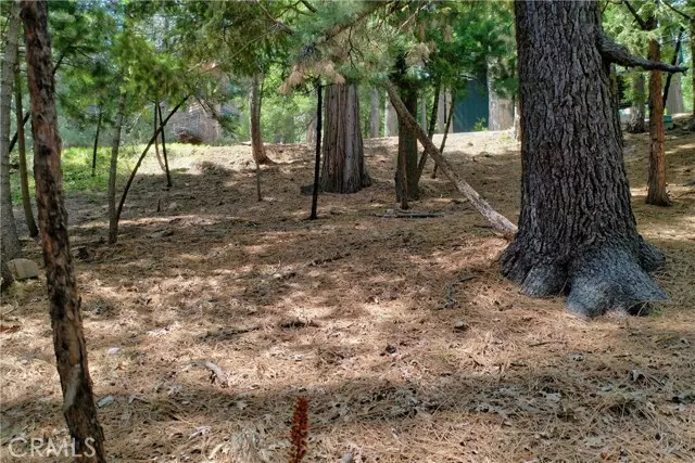 Lake Arrowhead, CA 92352,0 Terrace