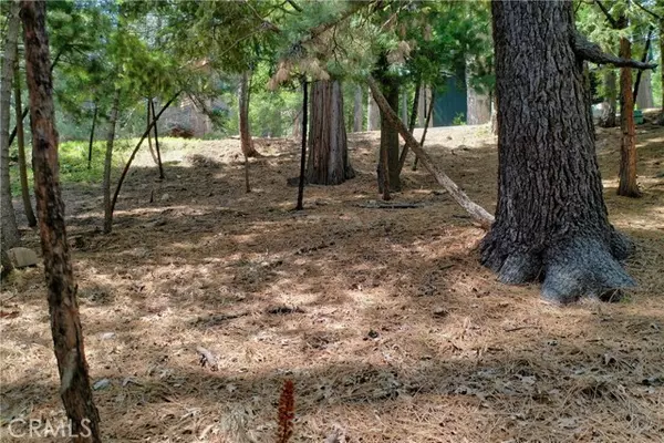 0 Terrace, Lake Arrowhead, CA 92352