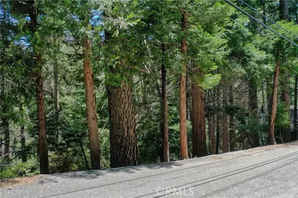 Lake Arrowhead, CA 92352,0 Terrace