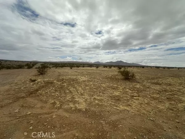 Helendale, CA 92342,0 Palomino Road