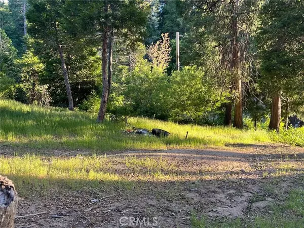 Cedar Glen, CA 92321,29038 Terrace