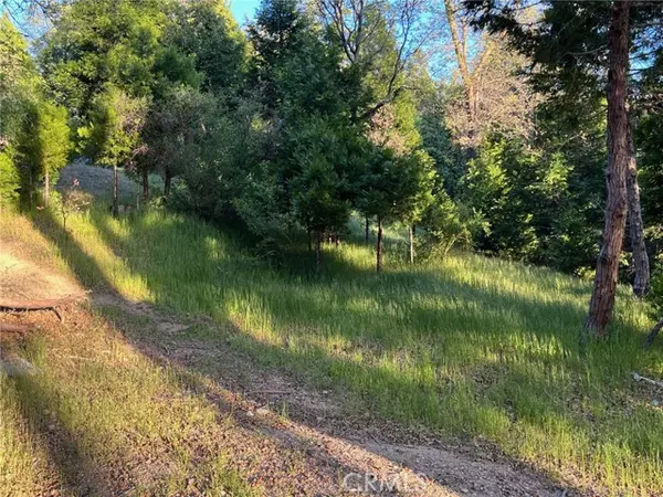 Cedar Glen, CA 92321,29038 Terrace