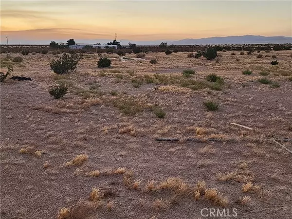 Newberry Springs, CA 92365,47701 Palma Vista Road