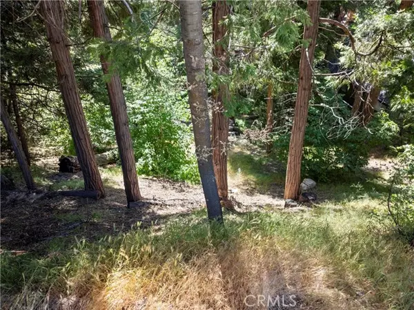 356 Ca-173, Lake Arrowhead, CA 92352