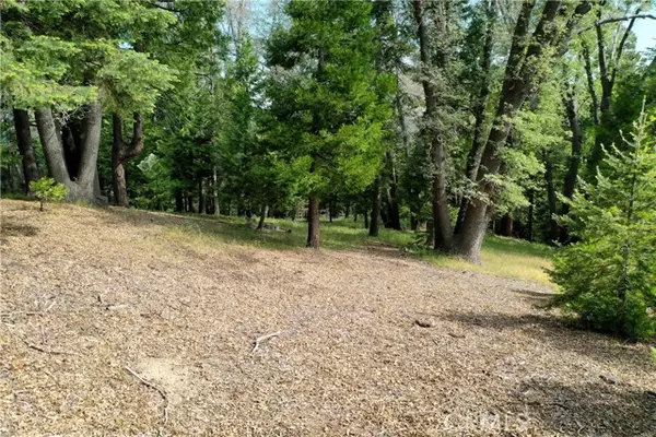 Lake Arrowhead, CA 92352,399 Cedar Ridge Drive