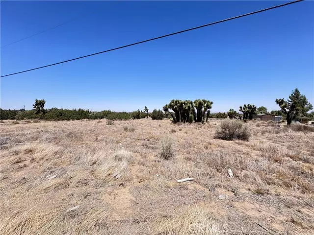 Phelan, CA 92371,0 Sunnyslope Road