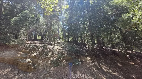 Cedarpines Park, CA 92322,0 Mojave River Road