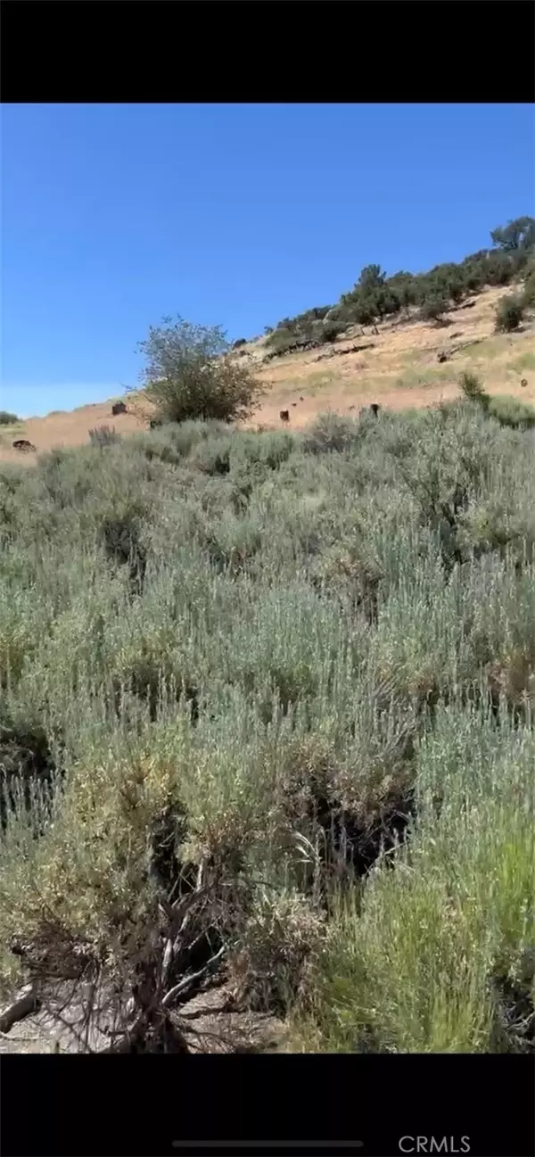 Tehachapi, CA 93561,24151 Jacaranda Drive