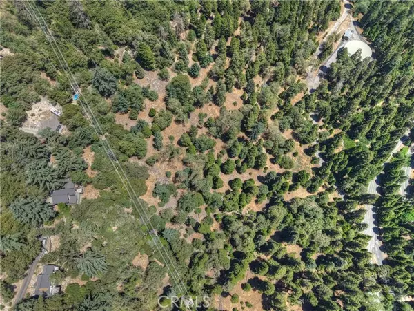 Twin Peaks, CA 92391,0 Pine Trail