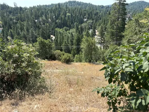 Lake Arrowhead, CA 92352,26805 Inyo Court