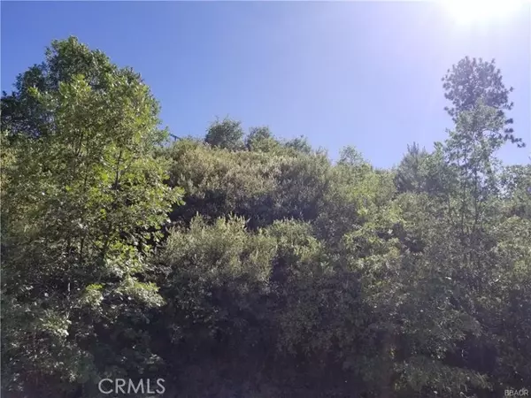 Cedar Glen, CA 92321,0 Elder Drive