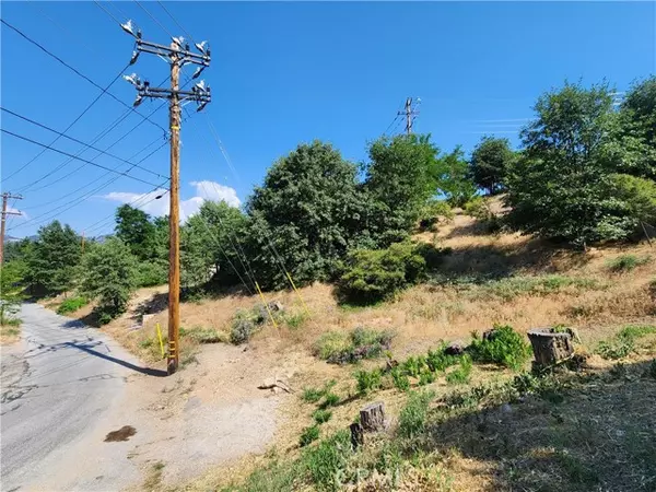 Running Springs, CA 92382,2344 Deep Creek Drive