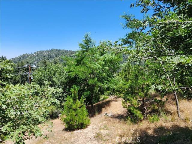31912 Encina Way, Running Springs, CA 92382