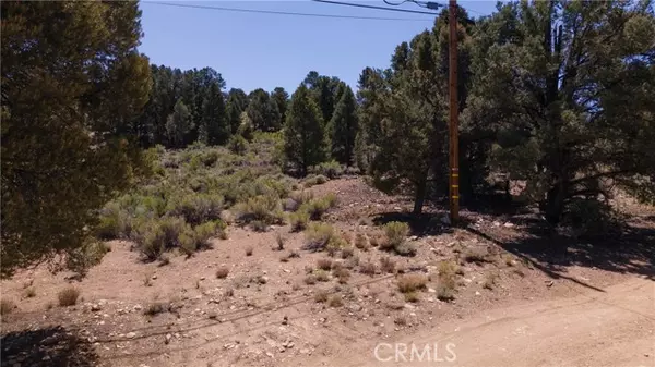Big Bear City, CA 92314,0 Upland