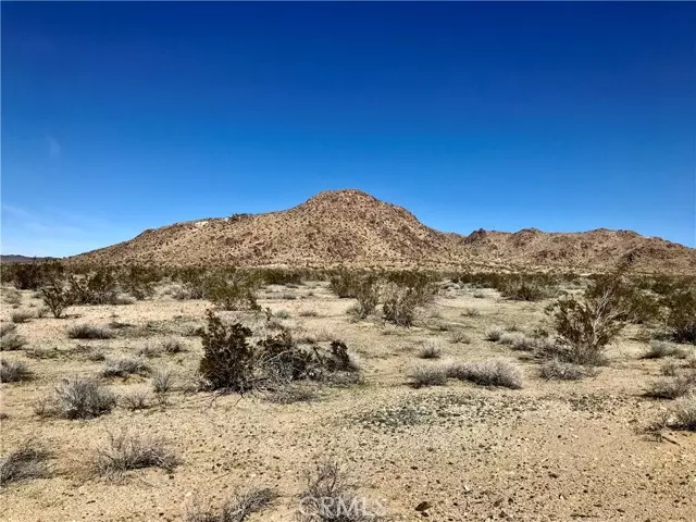 0 Palomino Road, Helendale, CA 92342