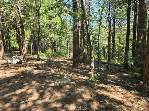 Cedarpines Park, CA 92322,0 Lovers Lane