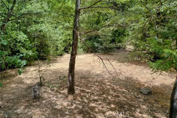 Lake Arrowhead, CA 92352,27513 Meadow Bay Drive