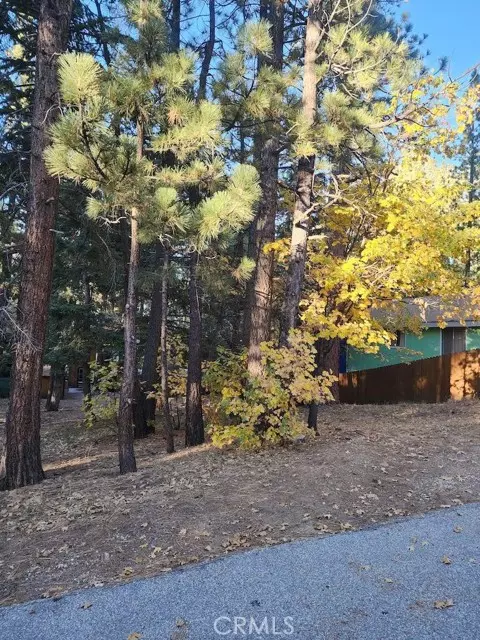 42736 Willow Avenue, Big Bear Lake, CA 92315
