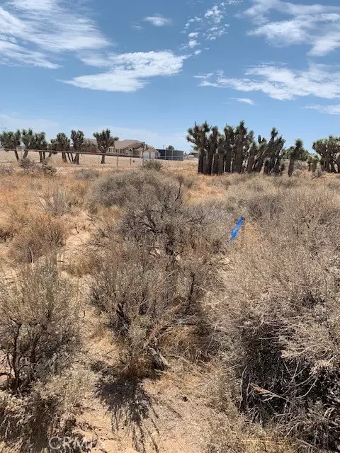 Phelan, CA 92371,0 Tumbleweed