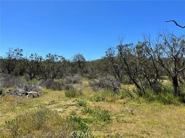 Aguanga, CA 92536,2 Barbara Trail