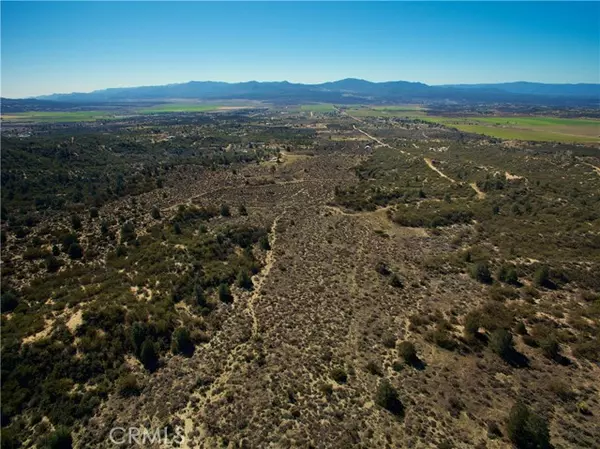 Anza, CA 92539,7 Old Forest