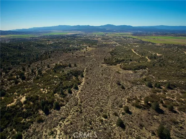 Anza, CA 92539,7 Old Forest