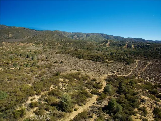 Anza, CA 92539,7 Old Forest