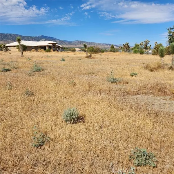 Pinon Hills, CA 92372,0 Arena Road