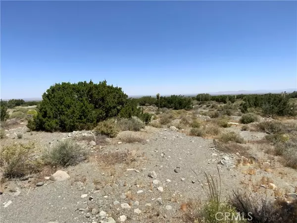 Pinon Hills, CA 92372,0 Phelan Road