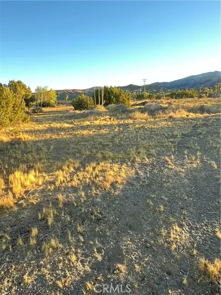 0 Elsinore, Pinon Hills, CA 92372